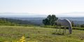 El balcó de la Garrotxa. Ruta 1 Maià de Montcal