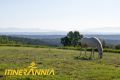 El balcó de la Garrotxa. Ruta 1 Maià de Montcal