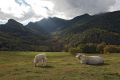 Territoire et Nature