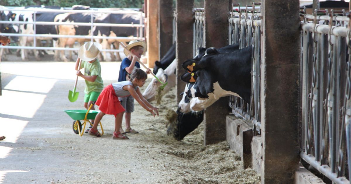 Visites de fermes