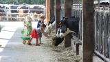 Visites de fermes