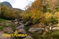 El mirador de la Vall d'en Bas i la Garrotxa. Ruta 3 Garrotxa