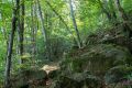 Xenacs pel camí dels Bous i mirador de puig Rodó. Ruta 3 Les Preses